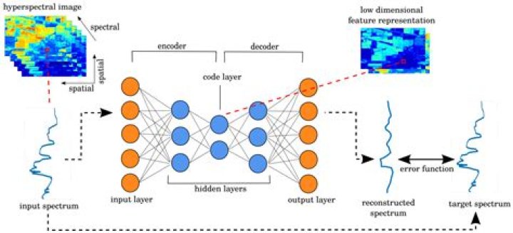 Are Autoencoders unsupervised?