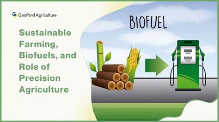 Are biofuels the future?