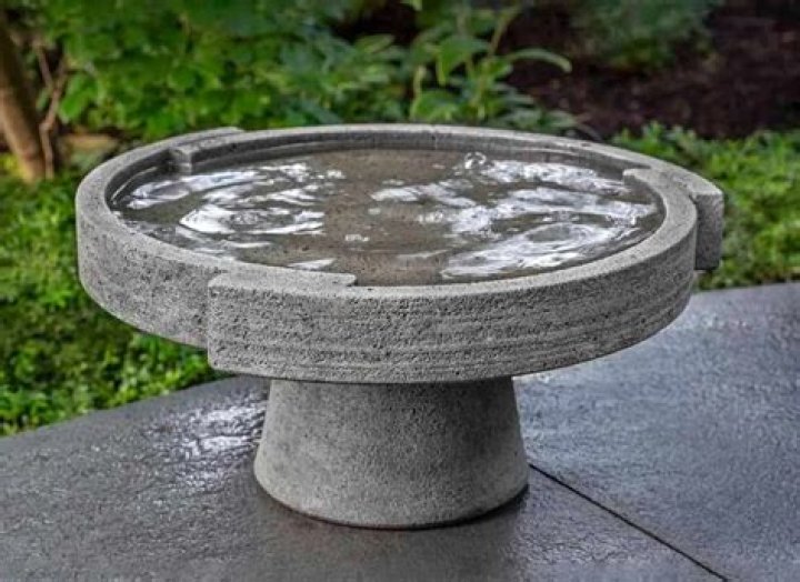 Are bird baths a good idea?
