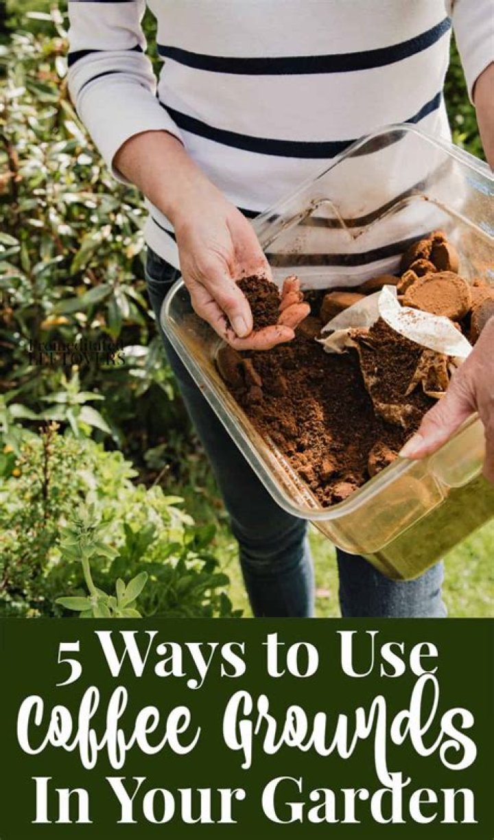 Are coffee grounds good for the garden?