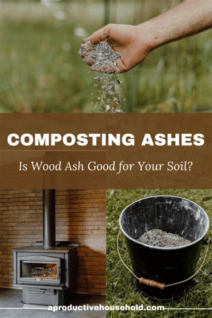 Are fireplace ashes good for anything?