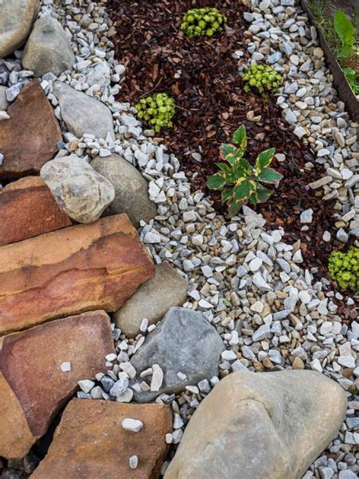 Are rocks or mulch better for drainage?