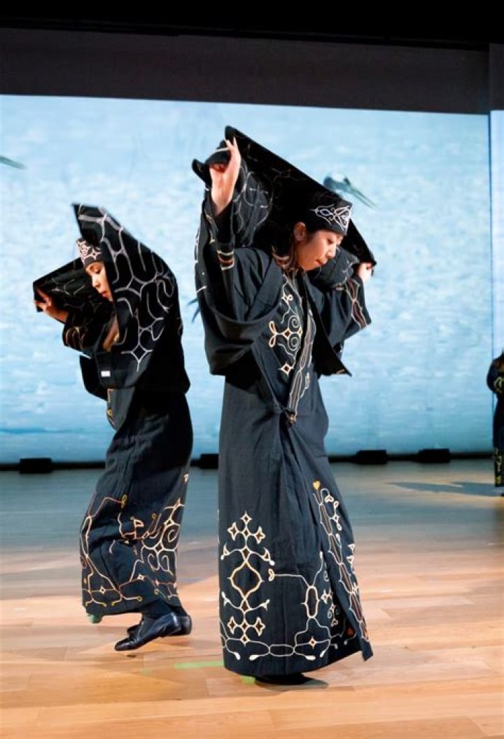 Are the Ainu of Japan black?