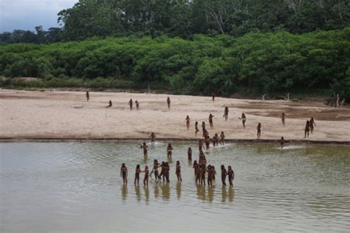 Are there any tribes undiscovered?
