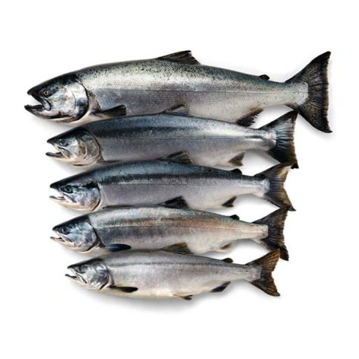 Are worms in all salmon?