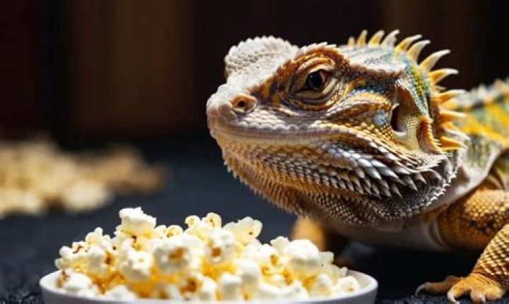Can bearded dragons eat popcorn?