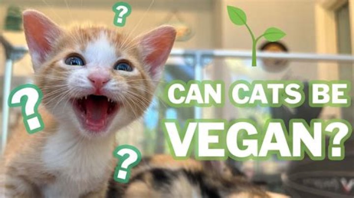Can cows be vegan?
