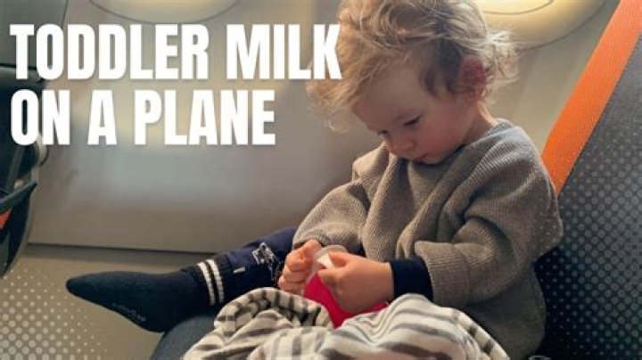 Can I bring milk on a plane for my toddler?