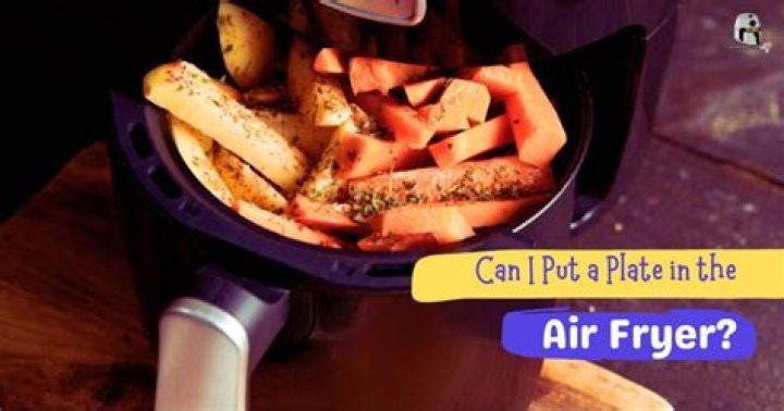 Can I put a plate in the air fryer?