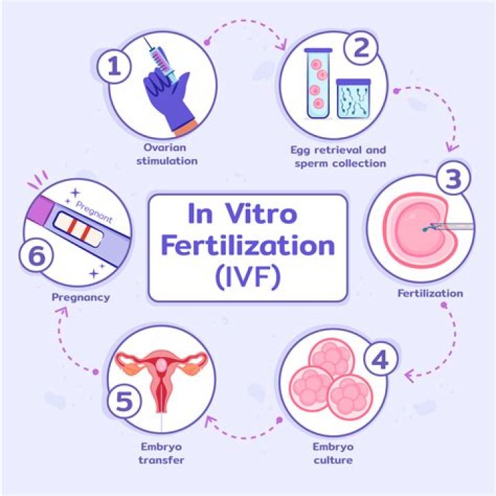 Can I walk after IVF transfer?
