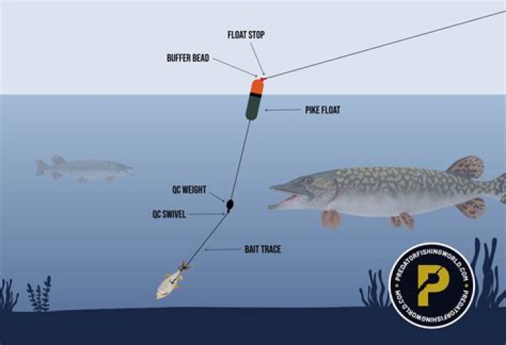 Can you float on your period?