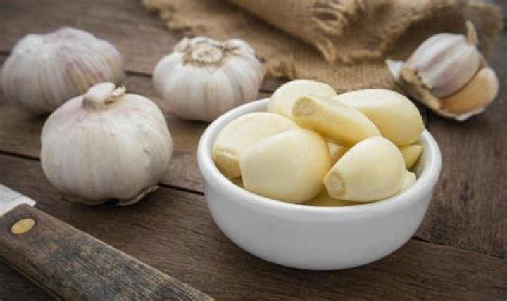 Do mosquitoes hate garlic?