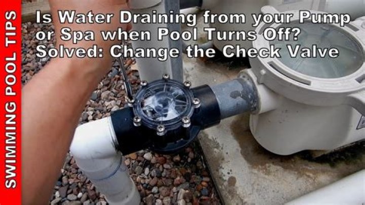 Do you run pump when shocking pool?