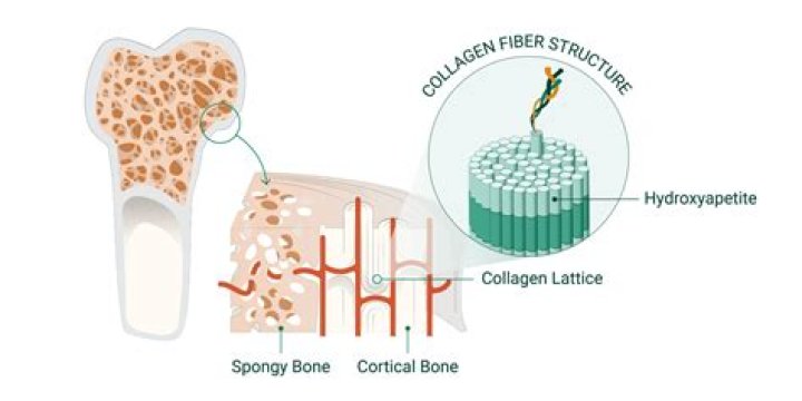Does collagen affect hair?
