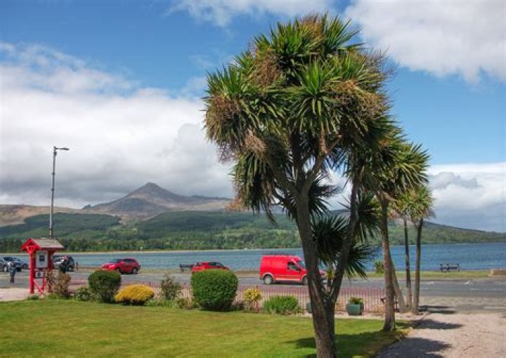 Does Scotland have any trees?
