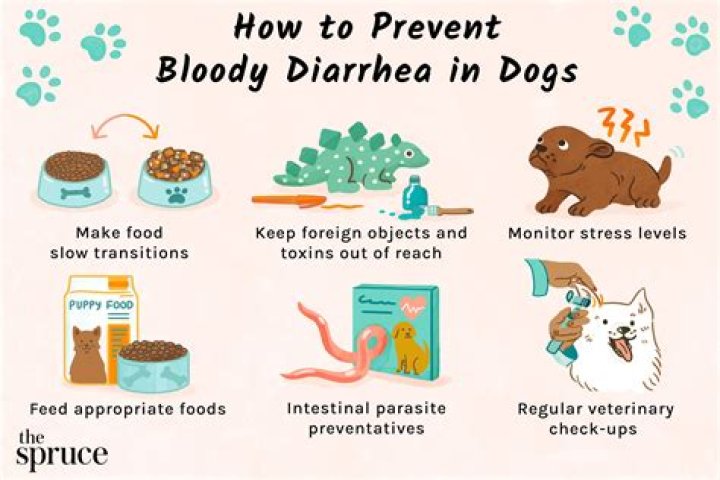Does sweet potatoes give dogs diarrhea?