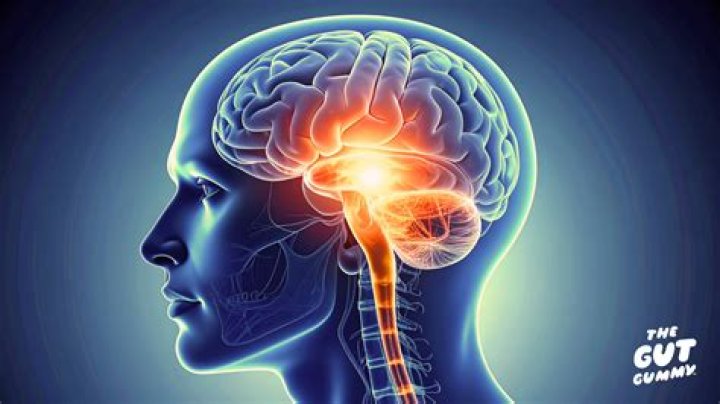 Does tinnitus damage your brain?