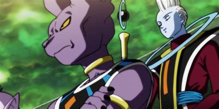 Does Whis care about Beerus?