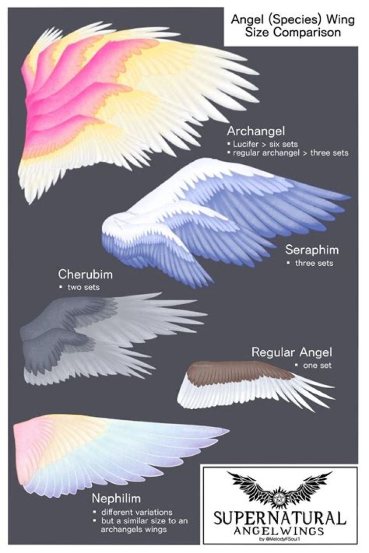 How are angel wings attached?