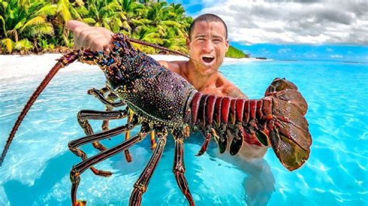 How are lobsters killed humanely?