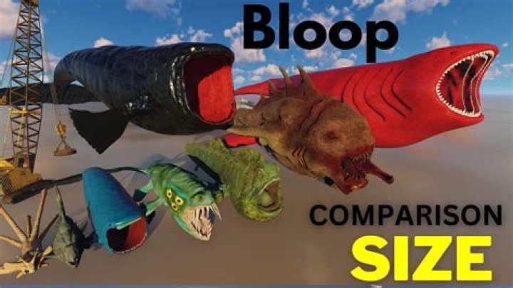 How big is the Bloop monster?