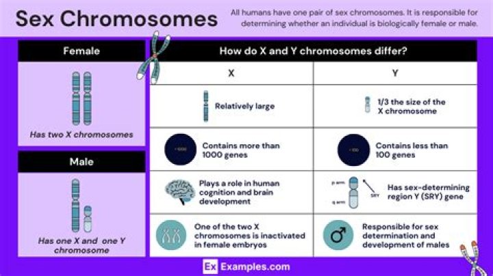How common are XY females?