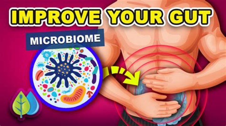 How do I fix my gut biome?