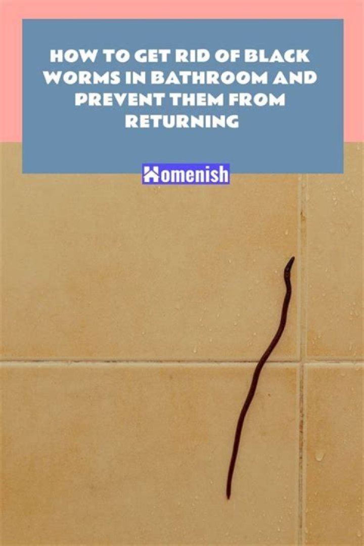 How Do I Get Rid Of Worms In My House