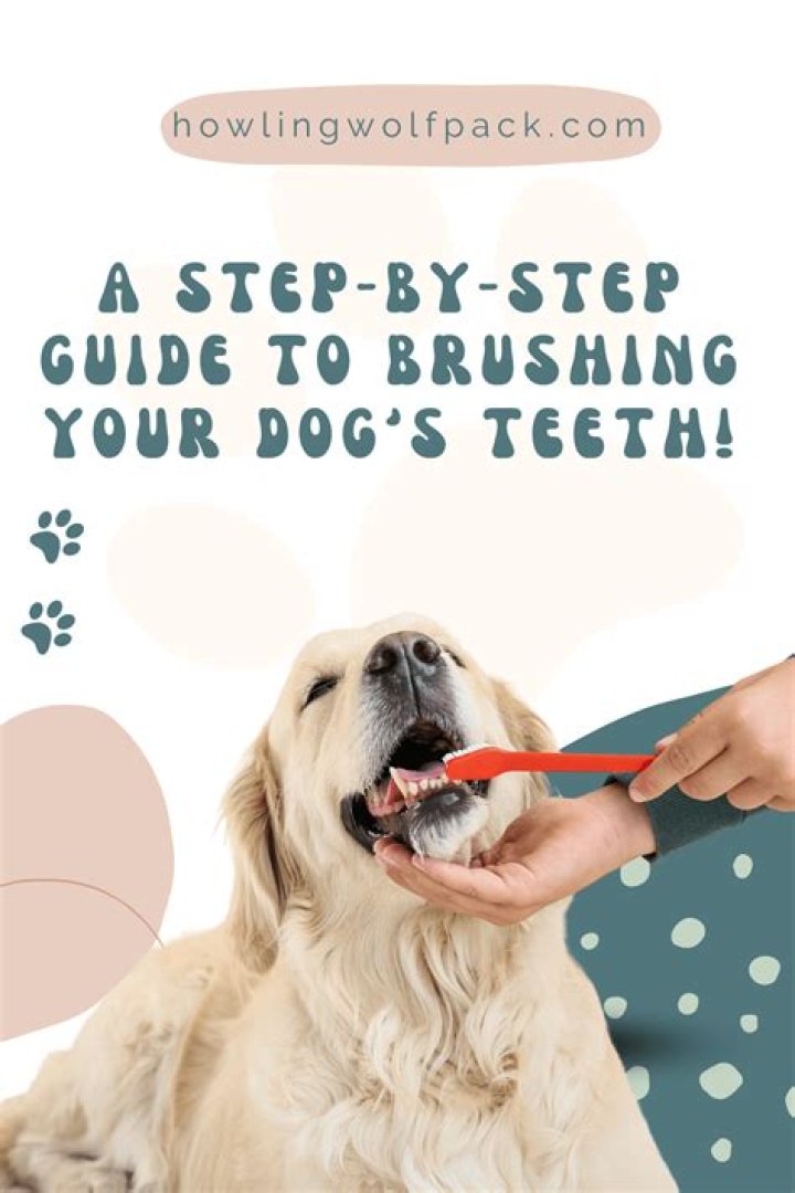 How do you brush a wet dog?
