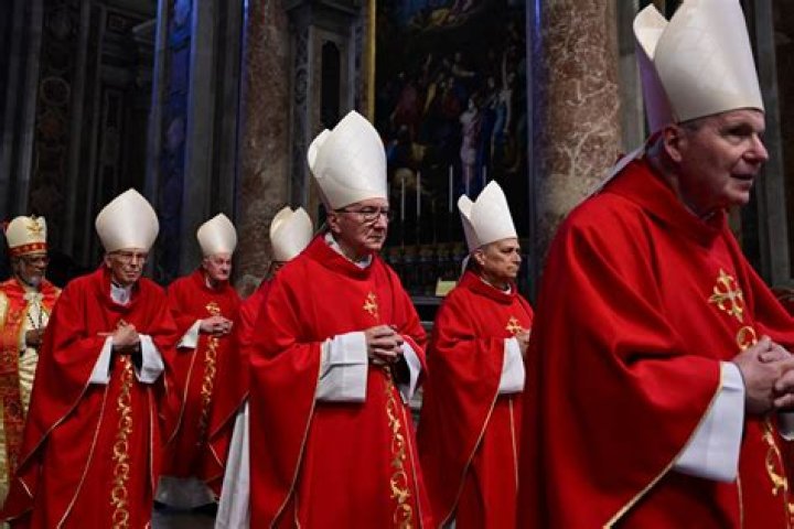 How do you get a cardinal to come to you?