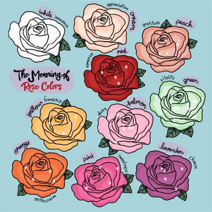 How do you intensify a rose color?