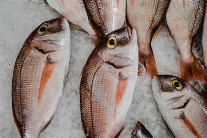How do you keep fish eyes from polyurethane?