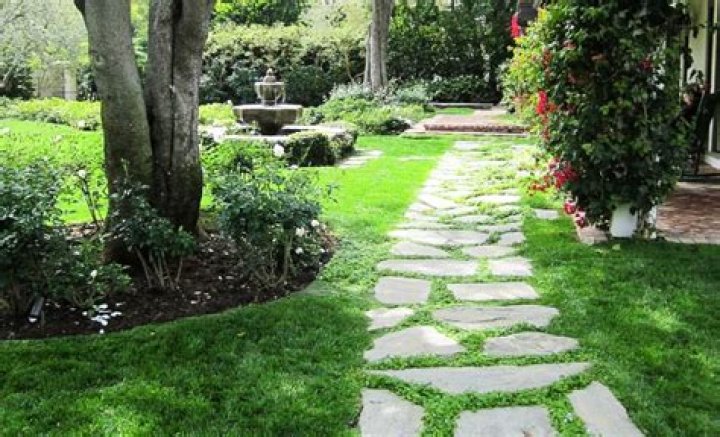 How do you stop moss from growing between pavers?