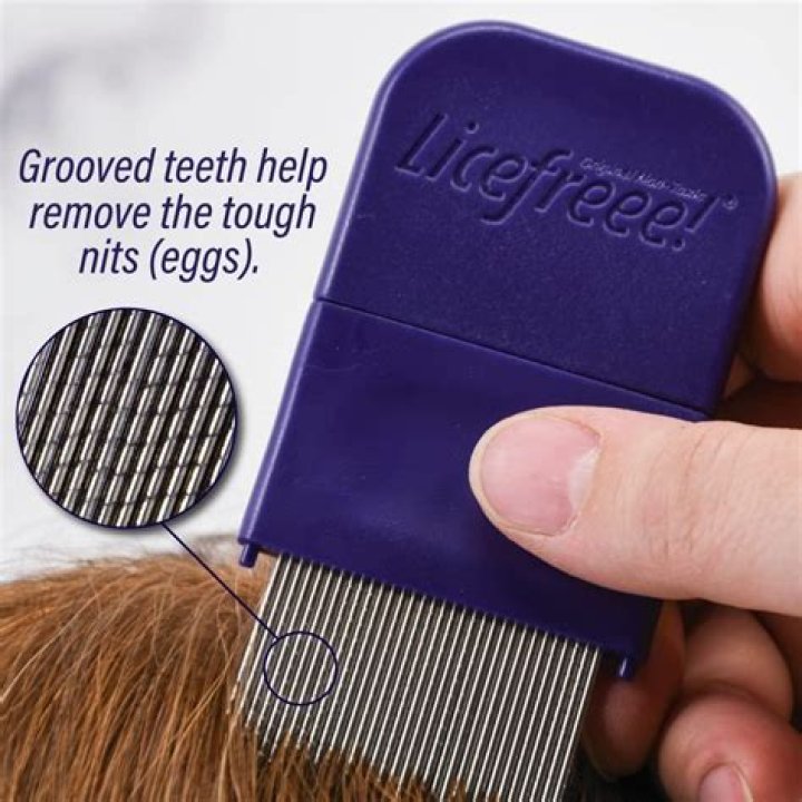 How do you tell if lice is gone?