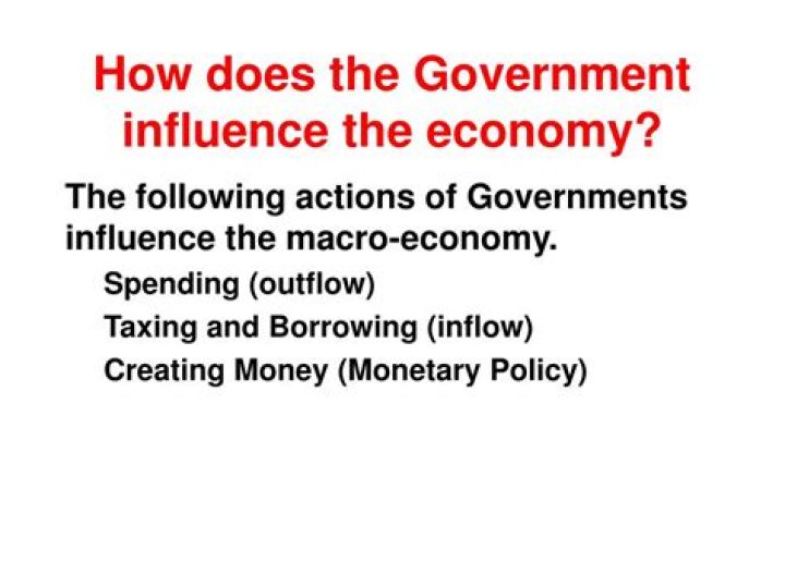 How does the government influence the economy?