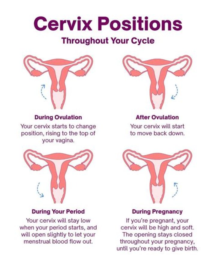 How far do they dilate your cervix for IUD?