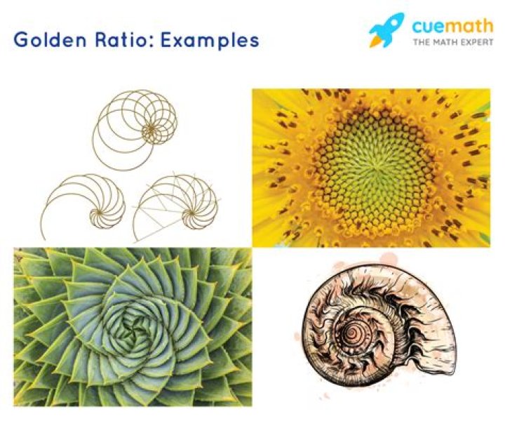 How is golden ratio used in art?