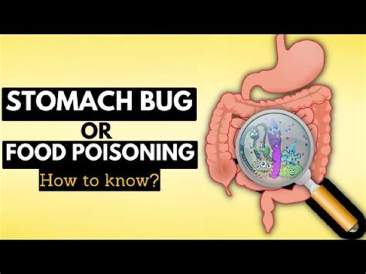 How long does diarrhea last in toddlers after stomach bug?