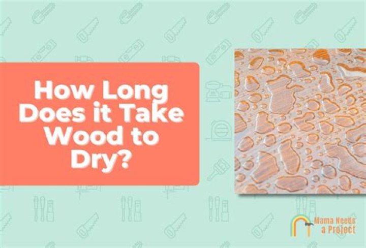 How long does it take for plywood to rot?