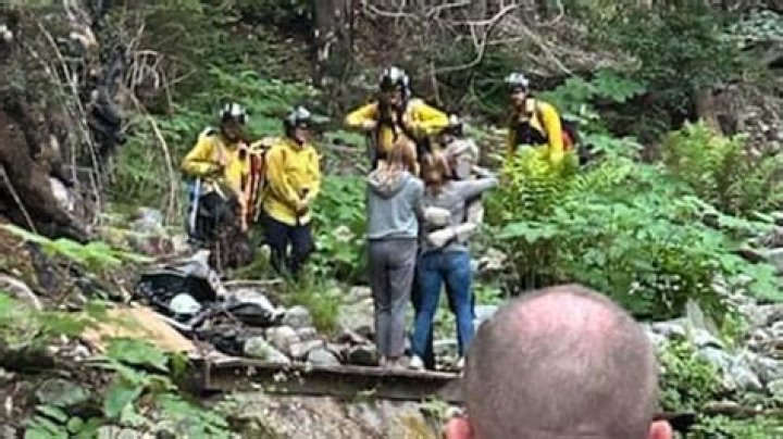 How many people have gone missing in the Smoky Mountain National Park?