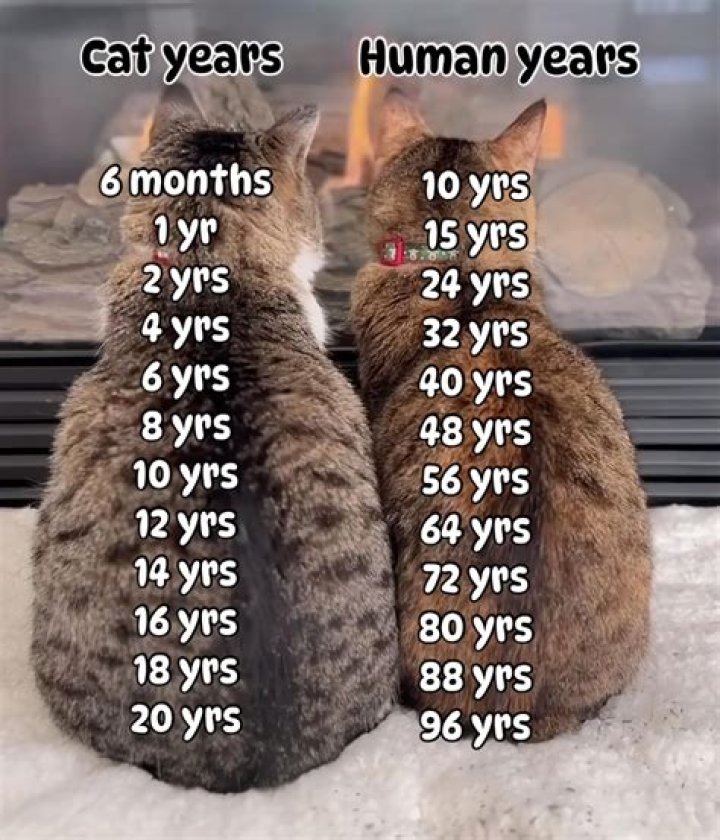 How many years was Price in the gulag?