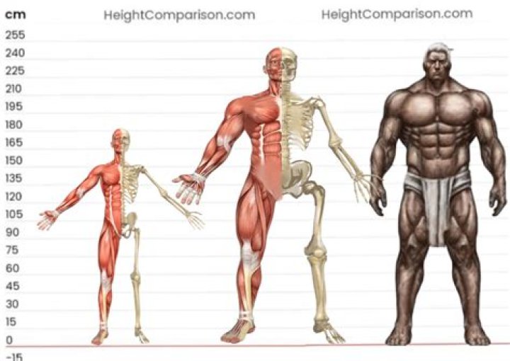 How much do Space Marines weigh?