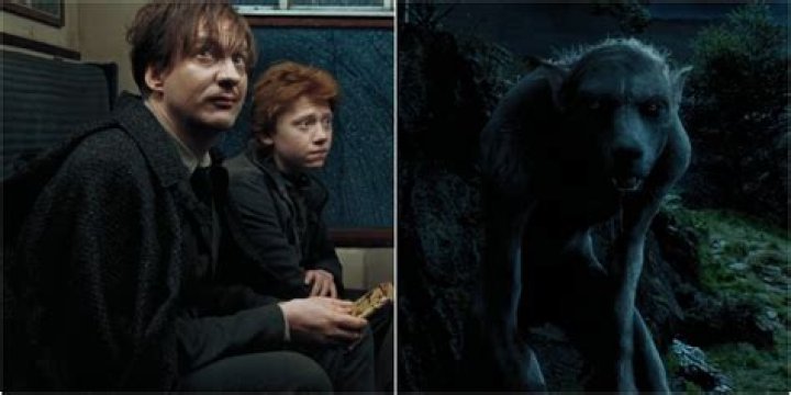 How old is Teddy Lupin in the epilogue?