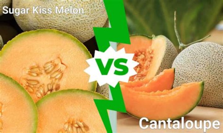 Is cantaloupe the healthiest fruit?