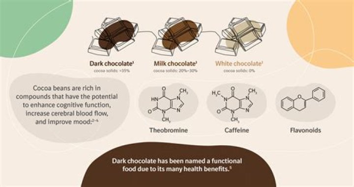 Is chocolate good for immune system?