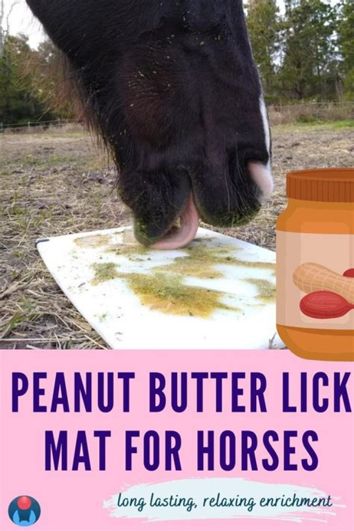 Is peanut butter OK for horses?