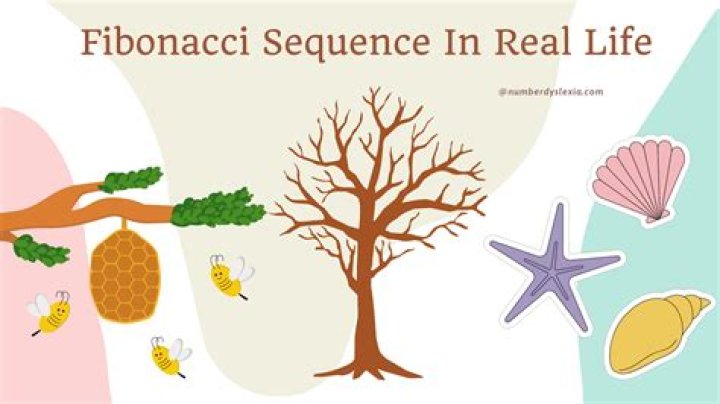 Is Rose a Fibonacci sequence?