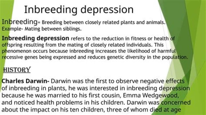 Is there depression in animals?