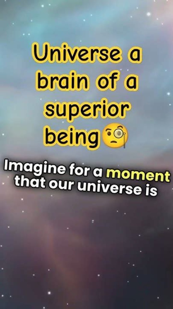 Is universe a brain?