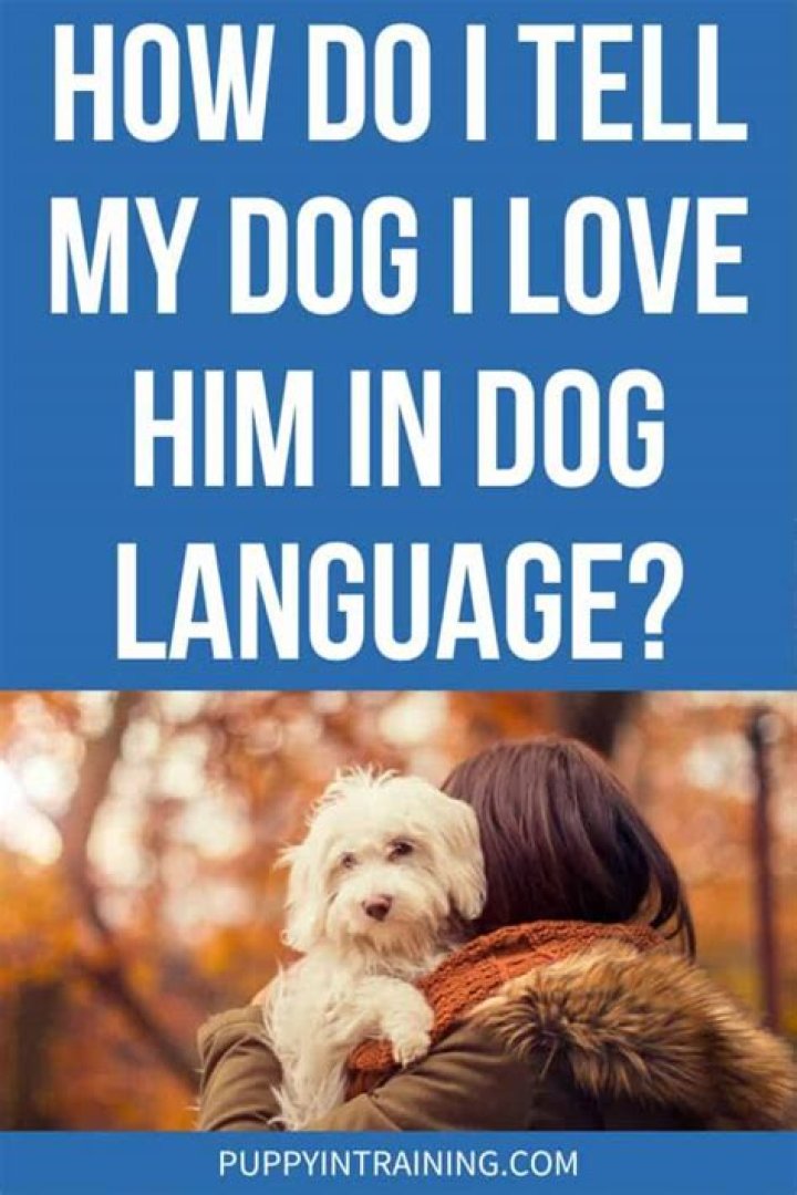 Should I tell my dog Im leaving?